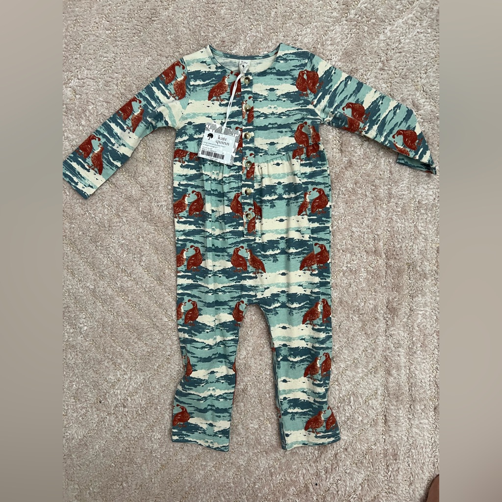 Kate Quinn Teal And Rust Bear Print Footie